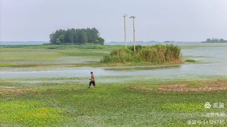 美丽运河我的家(第208集)——八 月 行 大 运