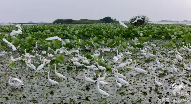 美丽运河我的家（第211集）