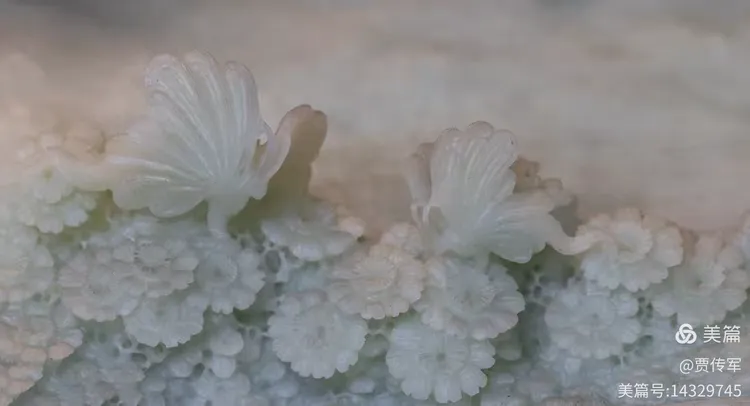 美丽运河我的家（第205集）——玉石传奇