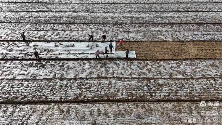 美丽运河我的家（第211集）