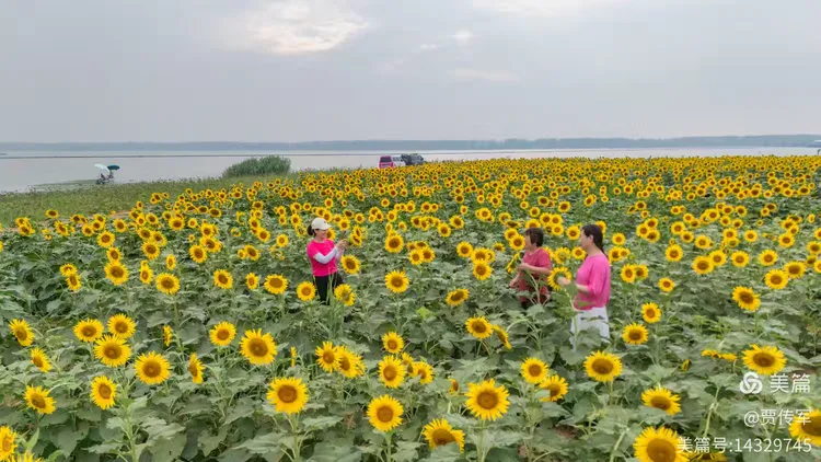 美丽运河我的家（第210集）—— 运河九月行记
