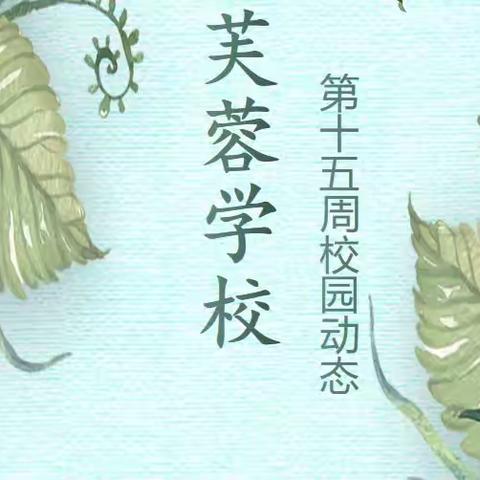 万宝芙蓉学校第十五周校园动态