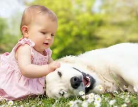 1-2岁宝宝语言训练指导