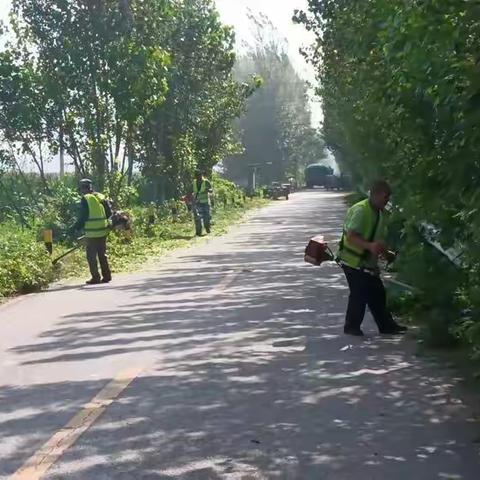 太平街道开展道路维护 助力文明典范城市创建