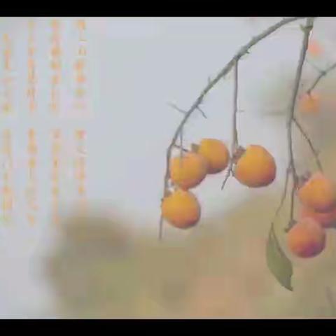 快乐人生，快活当今