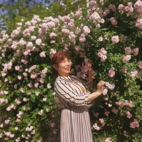 蔷薇花盛开的季节