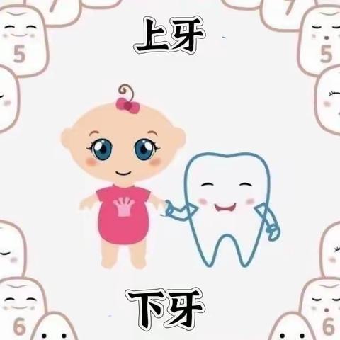 Kiss baby开心班第三周周记课程故事【牙齿的秘密】