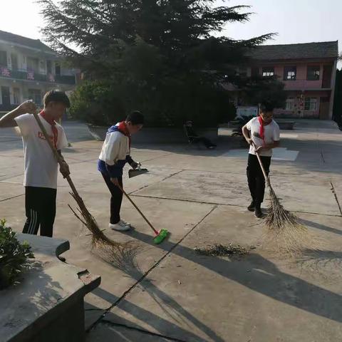 创卫工作，重在行动，贵在坚持