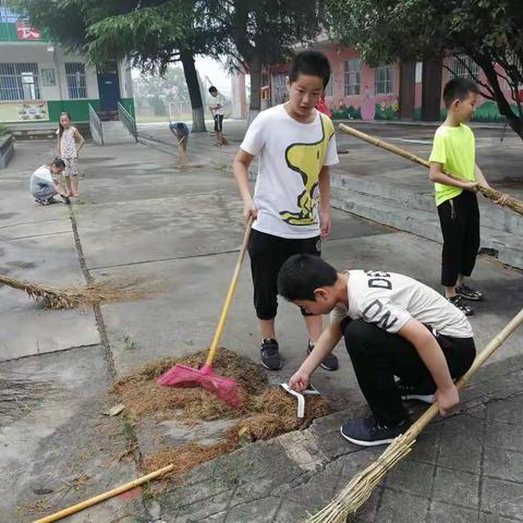 师生齐动手，校园更整洁