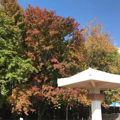 深秋游昆明植物园和黑龙潭公园