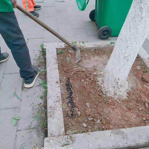 海林东洋的美篇