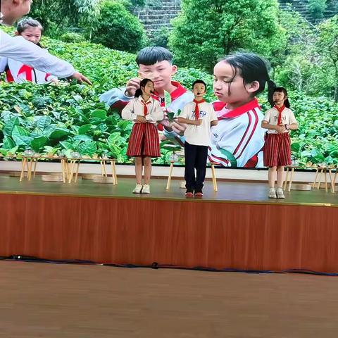 【思茅二小343班】思茅二小第十七届“茗香杯”茶艺比赛
