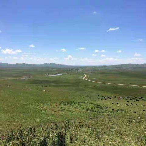 这里是红军走过的草原