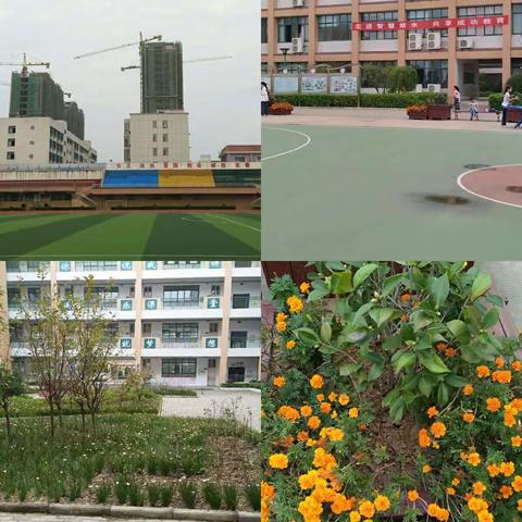 紫水学校全托娃娃快乐乒乓球精彩启航