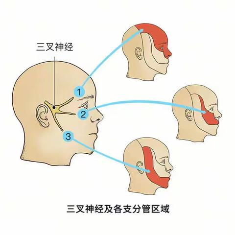 大爷脸疼半年受尽折磨，疼痛科三次治疗以缓解