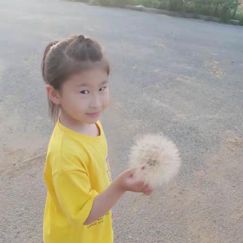 旅顺开发区实验小学五品好少年――――好问之星 宋亦晨