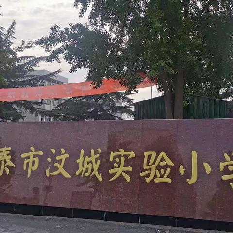 【全环境立德树人】新泰市汶城实验小学“文明领航·爱润平阳”学雷锋志愿服务活动