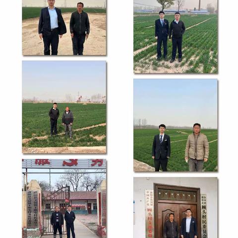 撑起乡村致富伞，为春耕备足“底肥”