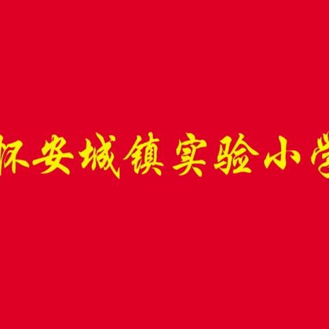 怀安县志愿服务总队系列活动 —— 怀安城镇实验小学 开展志愿服务宣讲活动