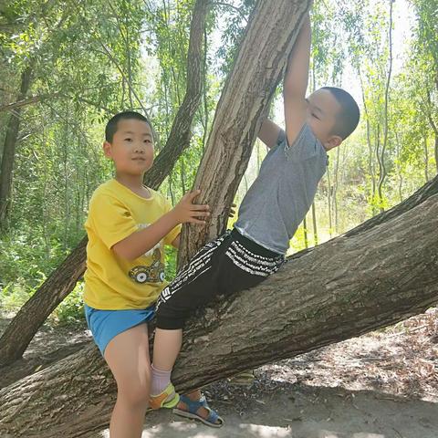 我和我的弟弟去伊犁河大桥玩耍。