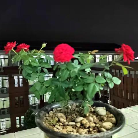 2022年10月30日—11月5日