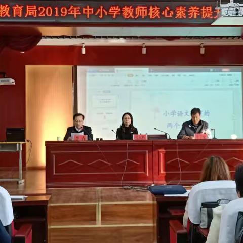 提升教师核心素养  助力教师专业成长