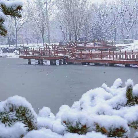 雪舞春风