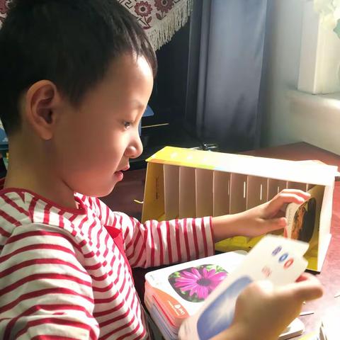 居家乐学👨‍👩‍👧‍👦📖不负好时光🌸🍃                 城中区保育院大二班