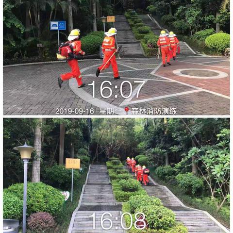 【观澜街道】“锤炼过硬本领，争创平安观澜”—2019年龙华区观澜街道森林消防火灾应急演练