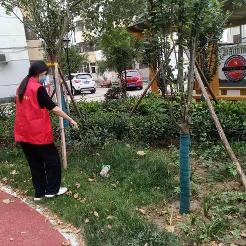 苹果园办事处河大社区绿化在行动