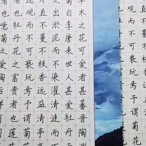 “每一横，都是担当；每一竖，都是成长”——西安高新区第四十四小学草下分校硬笔书法线上教学