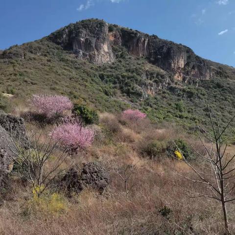 魅力女性,快乐巾帼！—记路居镇中学“庆三八节，登山活动”实录。