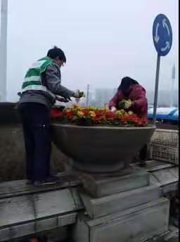 新密市城市园林绿化处                                       多措并举迎接河南省改善人居环境观摩检查
