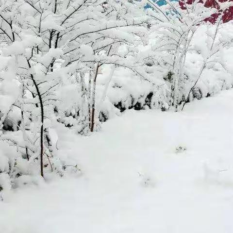 希望书画致学生家长的一封信——恶劣天气安全提醒