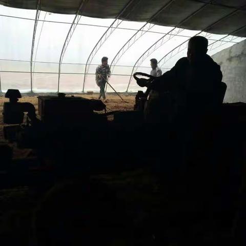 庞店村冬暖式蔬菜大棚建好了，今天开始犁地种菜了。