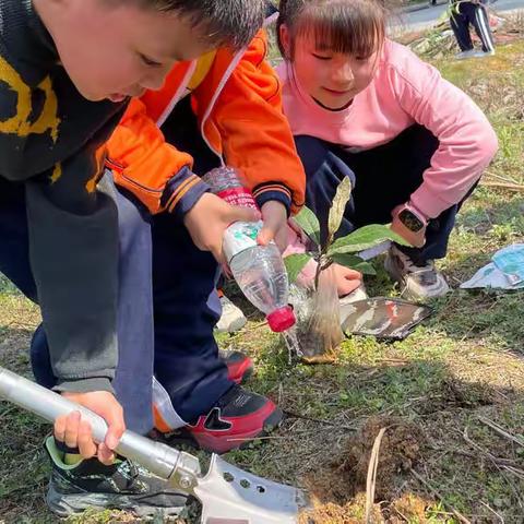 植树添新绿 不负好春光