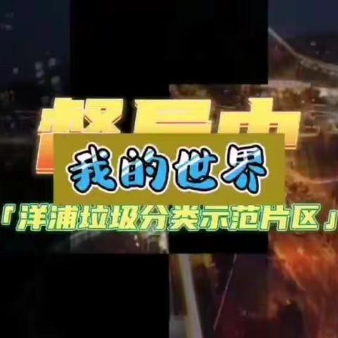 洋浦酷炫垃圾屋