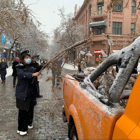 中央大街管委会办公室迅速出击清冰雪 保质保量保畅通
