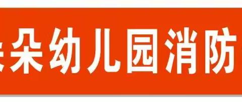 湘乡市朵朵幼儿园2021年秋季119“消防日”安全教育活动