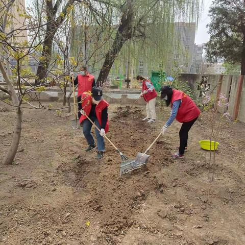 【元宝山街道】北园社区组织开展林带种植花草美化家园活动