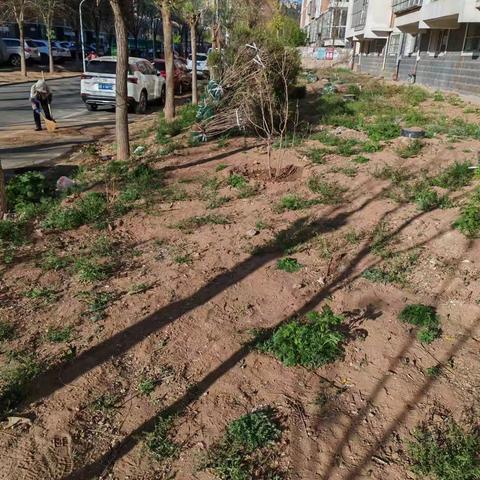 【元宝山街道】北园社区推出无物业小区改造“新规范”计划生态绿篱代替围墙