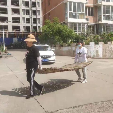 【元宝山街道北园社区】创城攻坚克难，巾帼不让须眉！致“网格女汉子”，你们辛苦了！