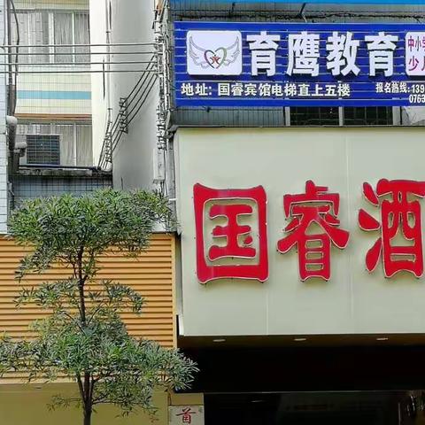 一小旁育鹰教育秋季招生了