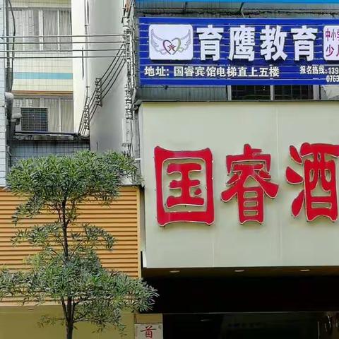 育鹰教育暑假班第二期招生啦！