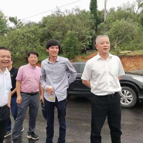 市委副书记、政法委书记林纪平赴马涧指导杨梅节筹备工作