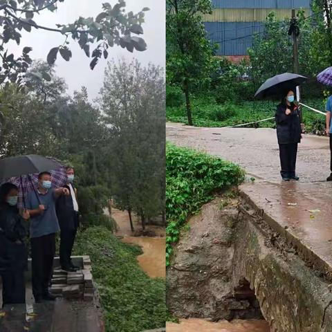 苟堂镇：防汛一线践初心 风雨之中担使命