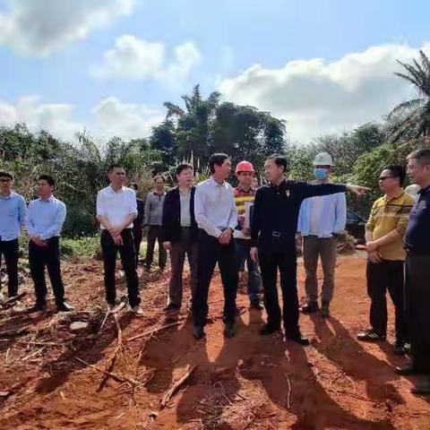 海口市农业农村局开展2021年度第2次高标准农田建设督导行动