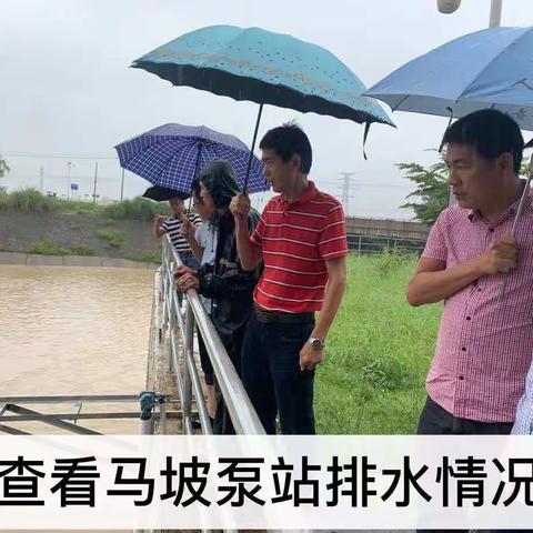 市农业农村局督查督导高标准农田建设项目田洋积水和排水情况