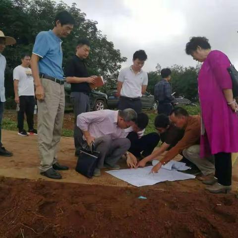 省厅农田处冯永飞处长检查海口市高标准农田建设