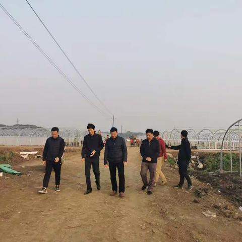 海口市农业农村局对田园综合体2017年产业化发展财政补助项目进行督导检查